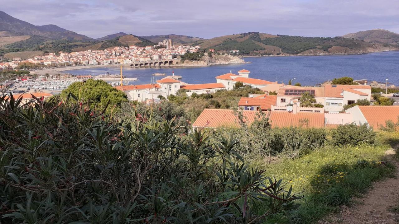 Cap D Osne - Banyuls Sur Mer - 2Mn Plage Banyuls-sur-Mer Exterior foto