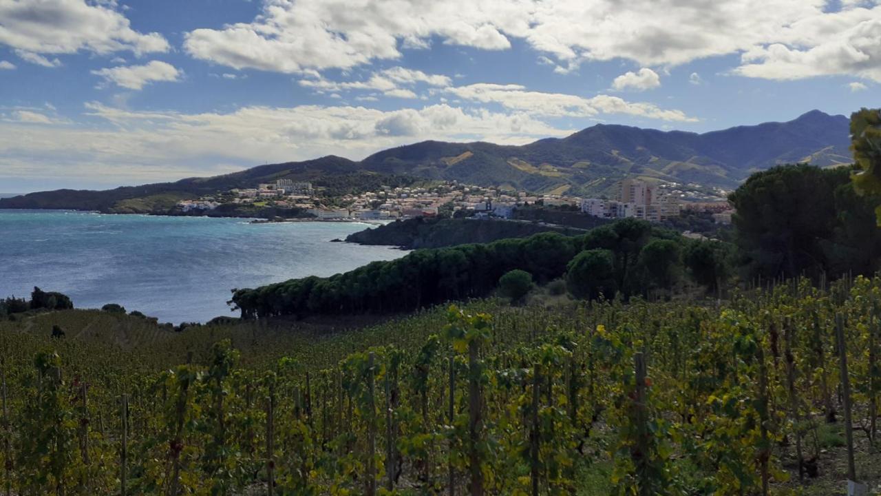 Cap D Osne - Banyuls Sur Mer - 2Mn Plage Banyuls-sur-Mer Exterior foto