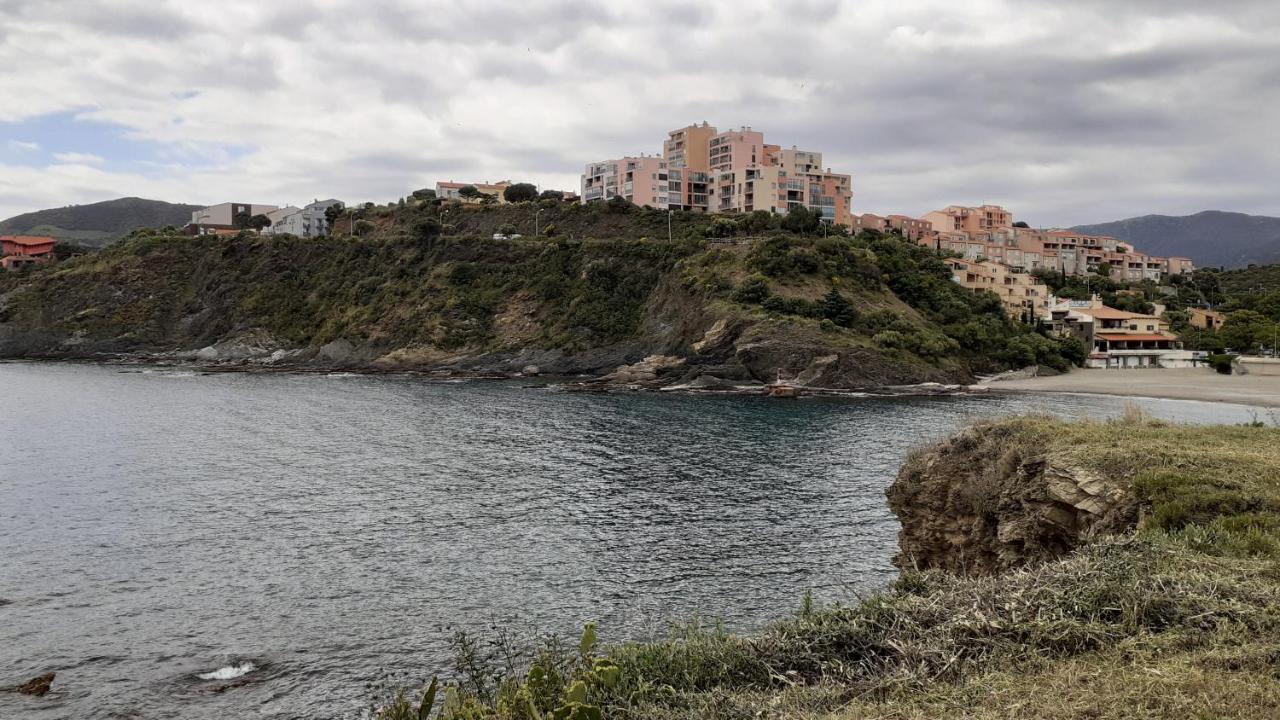 Cap D Osne - Banyuls Sur Mer - 2Mn Plage Banyuls-sur-Mer Exterior foto